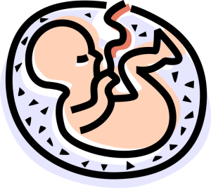 Clip-art image of a child in utero