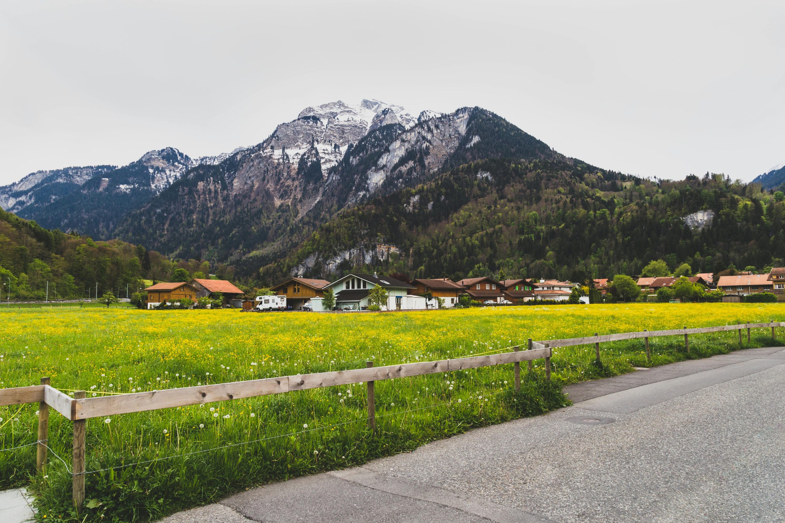 Green grass field near houses and mountain